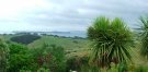 MAHURANGI__1_1.JPG