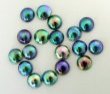 PAUA_OR_BLUE_PEARL_15_1.JPG